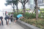 令人欣慰的是本次活動還吸引了一些年輕的環(huán)保志愿者參加。