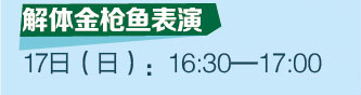 解體金槍魚表演 17日（日）：16:30-17:00