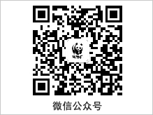 “為藍(lán)生活”關(guān)愛環(huán)境-地球一小時活動