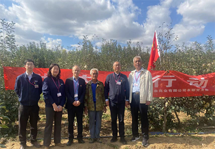 滯銷(xiāo)蘋(píng)果一天上餐桌 永旺超市農(nóng)超對(duì)接助民生